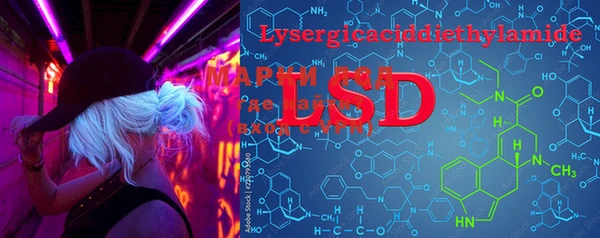 ECSTASY Алзамай