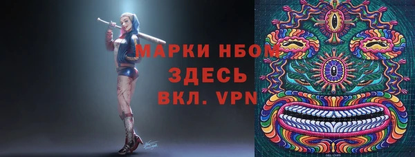ECSTASY Алзамай
